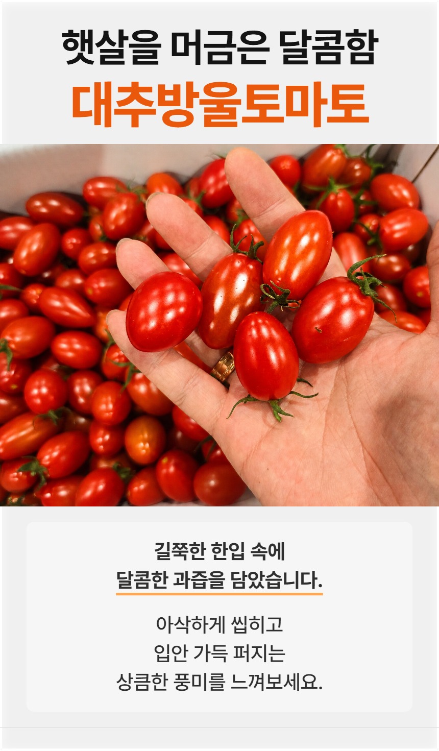 예시 01