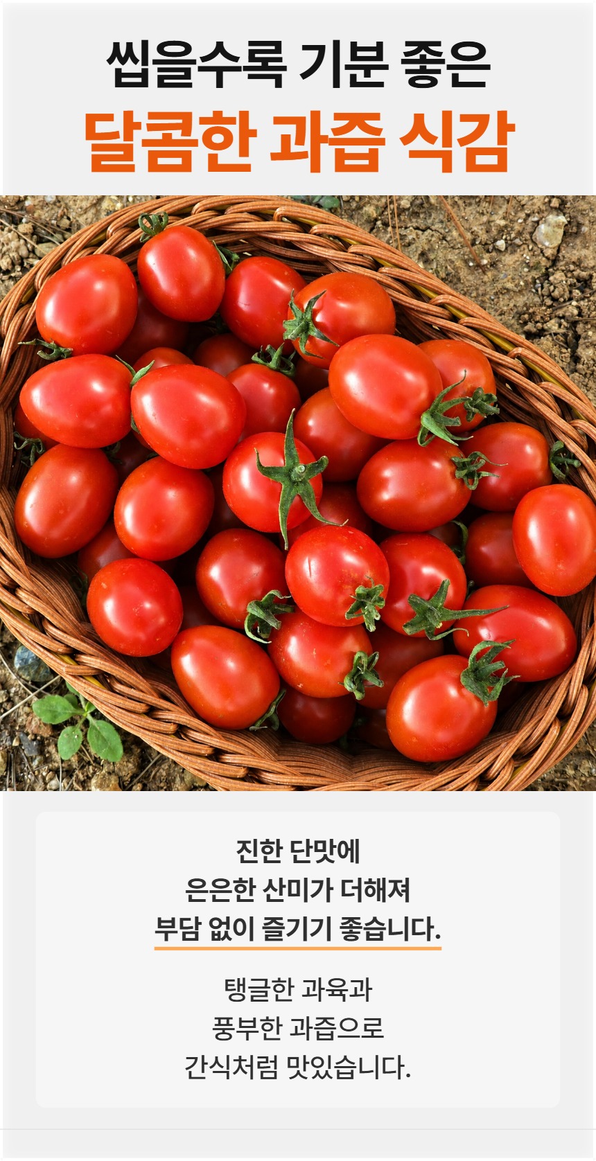 예시 05