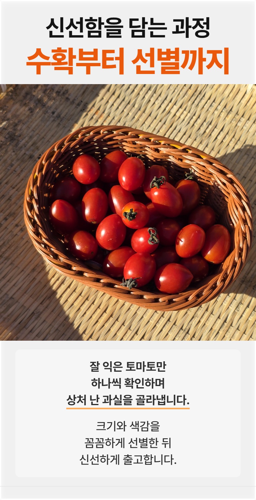 예시 06